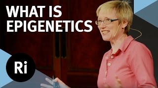 What is Epigenetics  with Nessa Carey [upl. by Tonry926]