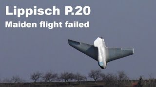 Lippisch P20 RC model prototype maiden flight failed 2018 [upl. by Sesiom959]