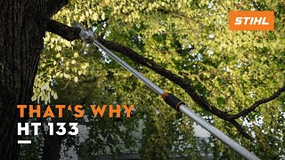 STIHL HT 133 pole pruner  Light weight amp high power  Thats why [upl. by Benetta]