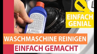 Waschmaschine reinigen  Komplette Waschmaschine mit Schublade amp Türdichtung sauber machen [upl. by Riker]