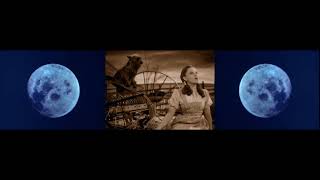 Joe Rogan Is The Wizard of Oz amp The Dark Side of the Moon by Pink Floyd synced [upl. by Reede]