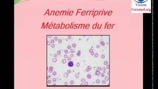 Metabolisme du fer et Physiopathologie de anemie martiale [upl. by Denny253]