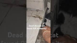 Dead abused cat found RIP humanity [upl. by Simone]