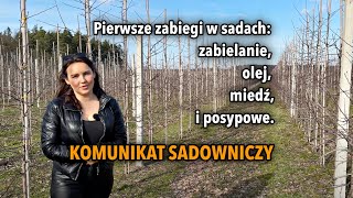 Pierwsze zabiegi w sadach zabielanie olej miedź i posypowe  komunikat sadowniczy [upl. by Etam]