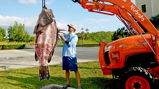 How to Clean and Cook a 300lb Grouper [upl. by Nnylassej]