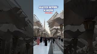 Ab to bas ek hi dhun hai ki madina dekhushortvideo viralshort video [upl. by Gleason992]