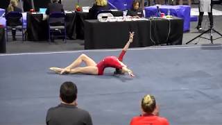 Whitney Bjerken  2019 USA Gymnastics Region 8 Level 10 Championships  Floor Exercise 9550 [upl. by Nathalia]