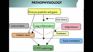 Chronic Obstructive Pulmonary DiseaseCOPD [upl. by Gruver]