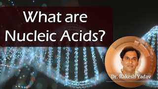 What are Nucleic acids  Dr Rakesh Yadav nucleicacids nucleicacid [upl. by Feldstein441]