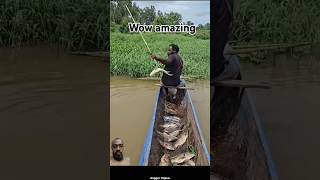 fishing fish archerfish worldarchery fishhunter fishingtips bigfish bowfishing [upl. by Atiniv]