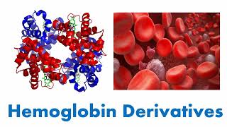 Hemoglobin Structure Function amp its Derivatives  Normal amp Abnormal Hemoglobin Derivatives [upl. by Seaddon119]