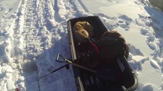 Ice Fishing 2017 Central Newfoundland [upl. by Sama262]