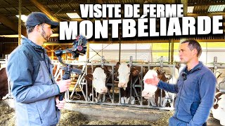 VISITE DUNE FERME LAITIERE🤠  EN CHARTREUSE  VACHE MONTBELIARDE🐄 [upl. by Iharas52]