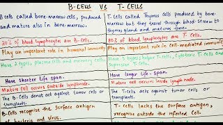 B  Cells Vs T  Cells an easy way to learn in Hindi and Urdu [upl. by Arekahs]