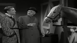 Mister Ed Season 1 Episode 5 1961 Stable for Three [upl. by Efal]