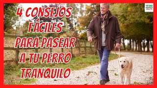 ✅ 4 CONSEJOS FÁCILES PARA PASEAR A TU PERRO TRANQUILO ✅ CÓMO PASEAR A UN PERRO CORRECTAMENTE [upl. by Meurer383]