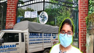 🚨Veterinary Hospital  ASHARI  in Kolkata । 🐈🐕🐖🐒 [upl. by Nireves]