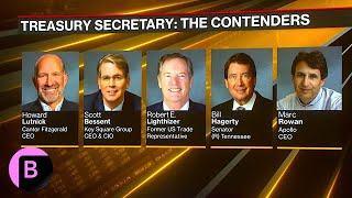 Donald Trumps Treasury Secretary Who Are the Possible Contenders [upl. by Kirtap]