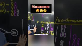 Human Chromosome  Ploidy in Human Chromosome chromosome ploidy gene viral shortindia [upl. by Gintz]