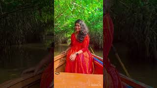 Mangrove Forest Back Water Pitchavaram relax herbalife shorts youtubeshorts trending food [upl. by Seedman]