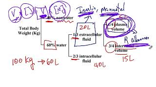 USMLE ACE Video 144 Distribution of Intracellular fluid ICF and Extracellular Fluid ECF [upl. by Gretel]