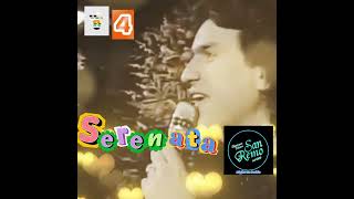 Toto Cutugno Serenata 🎸 1984 Sanremo Live totocutugno sanremo [upl. by Kerge]