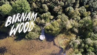 Birnam Wood by Bookshop Band Inspired by Eleanor Cattons new novel of the same name [upl. by Kerianne]