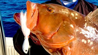 SPRO JIG MAGIC Demonstration on how to use a Spro bucktail for grouper and snapper [upl. by Asirrak982]