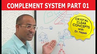 Complement System  Immunology  Part 118 [upl. by Aronaele]