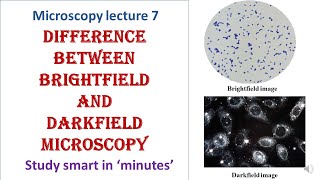 Differences between Brightfield and Darkfield microscopy  Microscopy lecture 7 [upl. by Stroud]