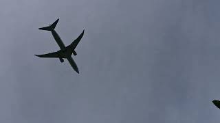 P 8A Poseidon Anzac Day flyover 2024 [upl. by Naesyar382]