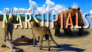 Australia the last land of MARSUPIALS [upl. by Tteltrab]