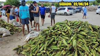 PESQUISA DE PREÇO DO MILHO NO PATIO DO MERCADO DE ABREU E LIMAPE SÁBADO220624 [upl. by Nilyaj688]