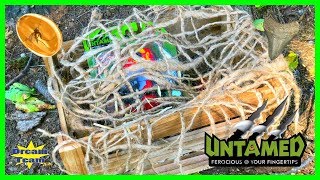 Untamed Fingerling T Rex New Ferocious Ripsaw by Wowwee Suprise Crate with a Dinosaur Inside [upl. by Erodroeht]