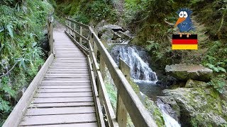 Lotenbachklamm im Schwarzwald  die wilde und bezaubernde Schlucht mit ihren Wasserfällen [upl. by Volney]