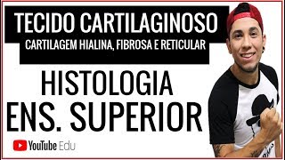 Aula 45 TECIDO CARTILAGINOSO  Cartilagem hialina fibrosa e reticular ENSINO SUPERIOR [upl. by Conchita]