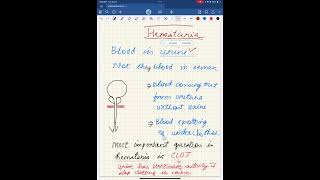 Clot in Hematuria  Urinary bladder tumor possibility [upl. by Doi]