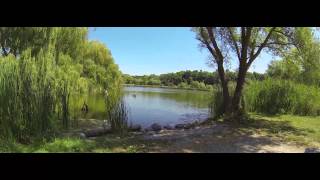 WTF Topham Pond Toronto Ontario [upl. by Havens]