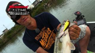 MEGABASS MOVIE 082 KNUCKLE60 実釣動画 [upl. by Ellives]