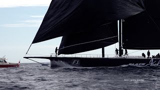 Les Voiles De Saint Tropez 2024  Maxis Day 1 [upl. by Adnowat]