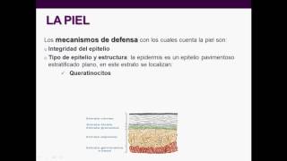 Introducción a la inmunología humana  Clase 2 Inmunidad Innata quotLas barreras naturalesquot [upl. by Thedrick]