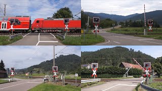 De Wechselblinkers in het Kinzigtal aan de Schwarzwaldbahn [upl. by Yrreg]