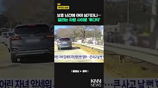 중앙분리대 다가가더니… 차량 사이로 후다닥 KNN [upl. by Alidus]