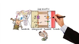 Pharmacology  DIURETICS MADE EASY [upl. by Manas]