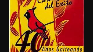 40 años  Cardenales del Exito [upl. by Eannej]