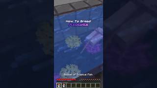 How To Breed Axolotls In minecraft 120 Java [upl. by Aurita218]