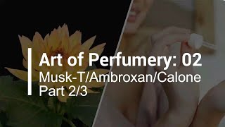 All about Ambroxan  Ambergris Specialty  Art of Perfumery 02 Musk T Ambroxan amp Calone Pt 23 [upl. by Ahtinak]