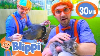 Blippi Plays With Puppies At The Animal Shelter  BEST OF BLIPPI TOYS  Educational Videos for Kids [upl. by Lud174]