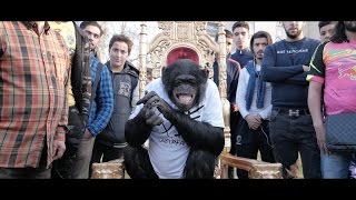 PNL  DA Clip Officiel [upl. by Enyt]