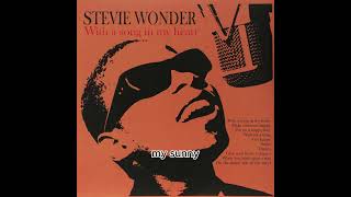 Stevie Wonder  Sunny lyrics [upl. by Nashoma759]